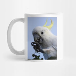 Sulphur Crested Cockatoo Mug